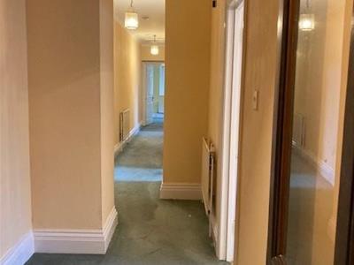 Picture 9